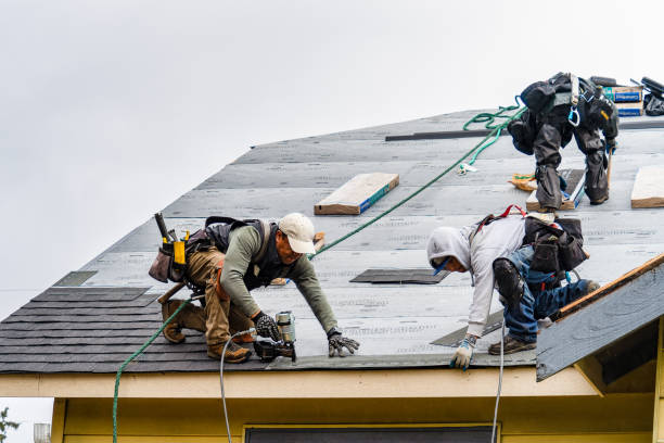 Professional Gutter Installation technician working in Donnelly, MN
